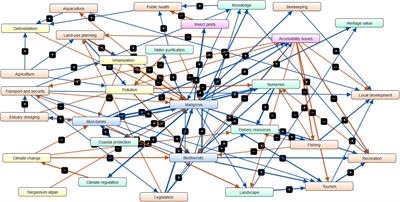 Ecosystem Services Assessment for the Conservation of Mangroves in French Guiana Using Fuzzy Cognitive Mapping